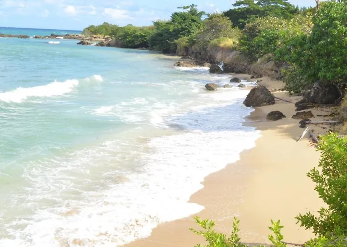 Jamaica Tranquility